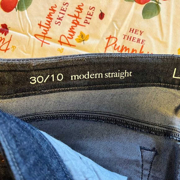 Loft Modern Straight Dark Blue Jeans - Size 10 - Picture 3 of 4
